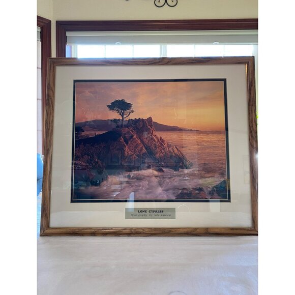 Large Lone Cypress Print By John Gronert In Matted Wood Frame Vintage - Picture 6 of 8